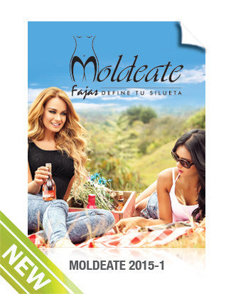 Catalog Moldeate 2015-1